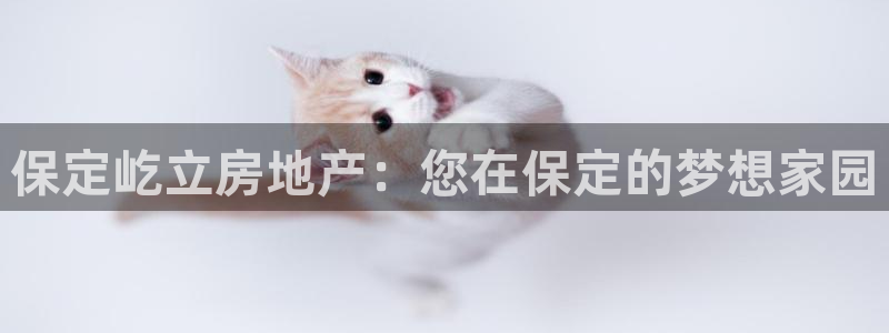 万向娱乐老板