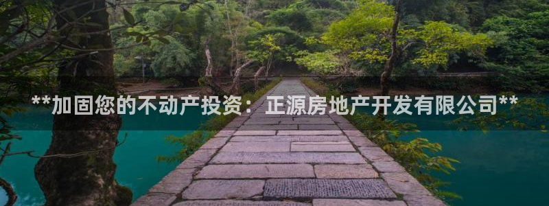万向娱乐公司 585.34I 娱乐
