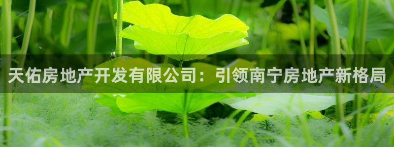 万向娱乐公司 585.34I 娱乐