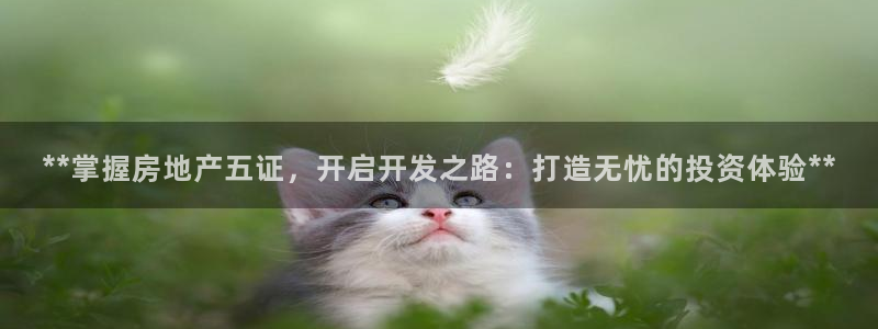 万向娱乐挂机