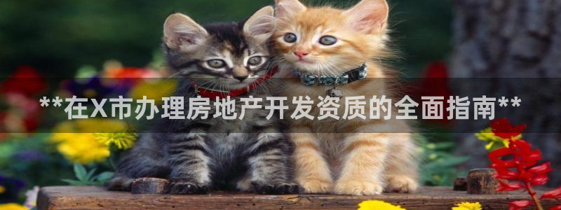 万向娱乐官网网址是什么