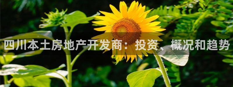 万向娱乐官网首页