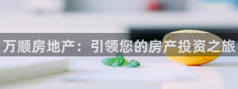 万向娱乐老板