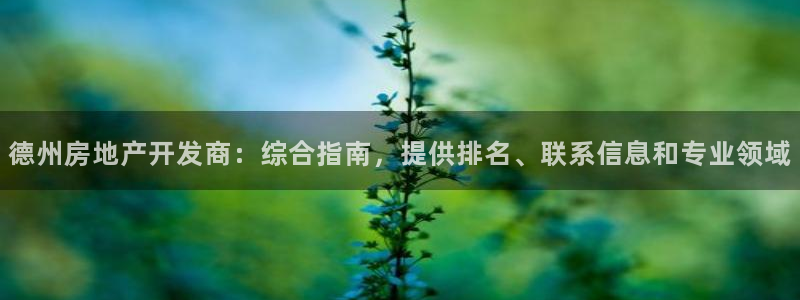 万向娱乐是哪个旗下