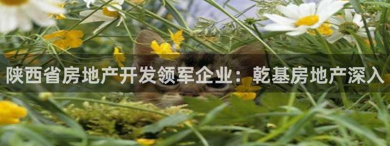 万向娱乐平台下载安装