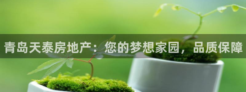 万向娱乐官网下载安装最新版