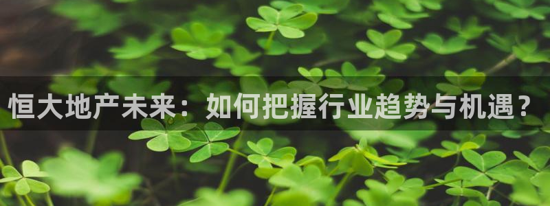 万向娱乐平台代理多少钱一个月