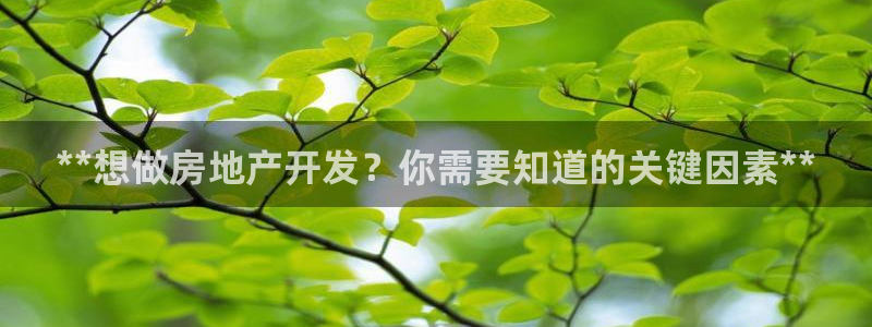 万向娱乐平台好不