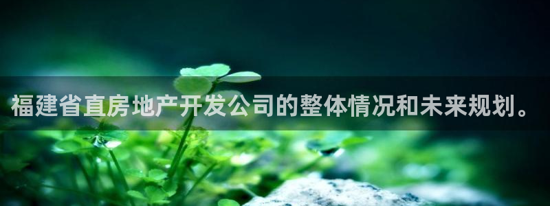 万向娱乐是野鸡台吗
