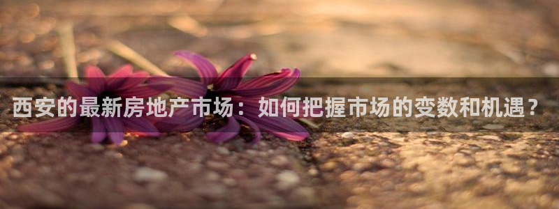 万向娱乐的494o3 主管