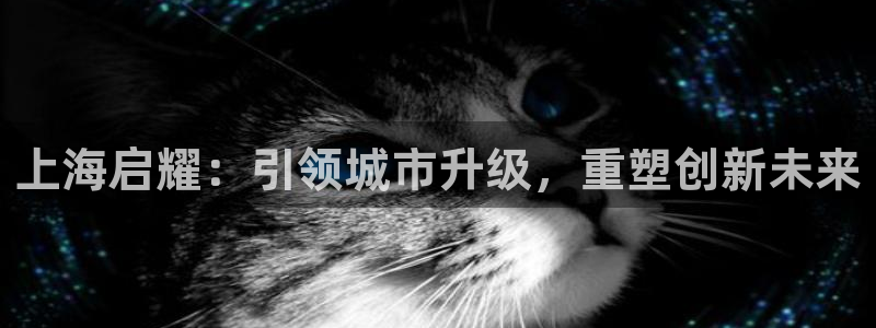 万向娱乐老板