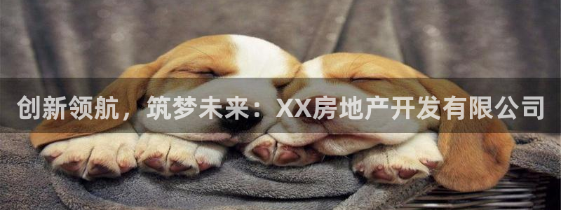 万向娱乐灯333OO