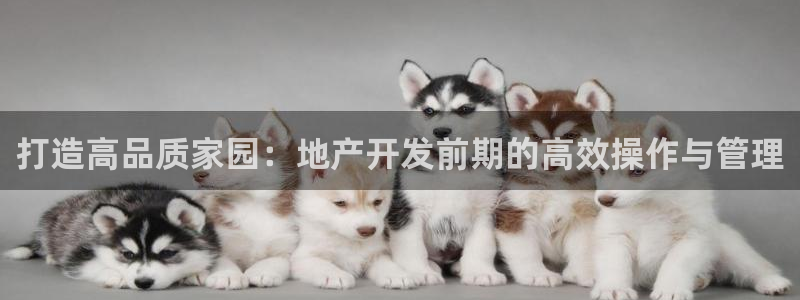 万向娱乐平台代理怎么做的