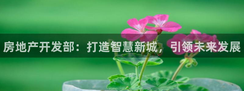 万向娱乐怎么样