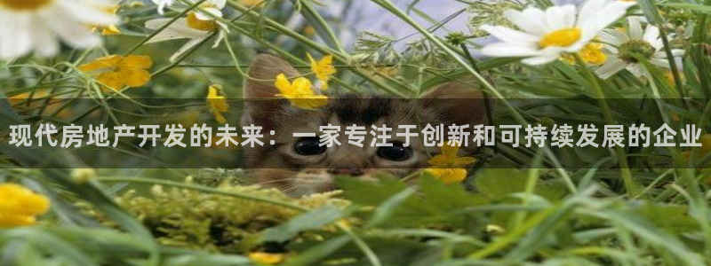 万向娱乐登陆官网入口